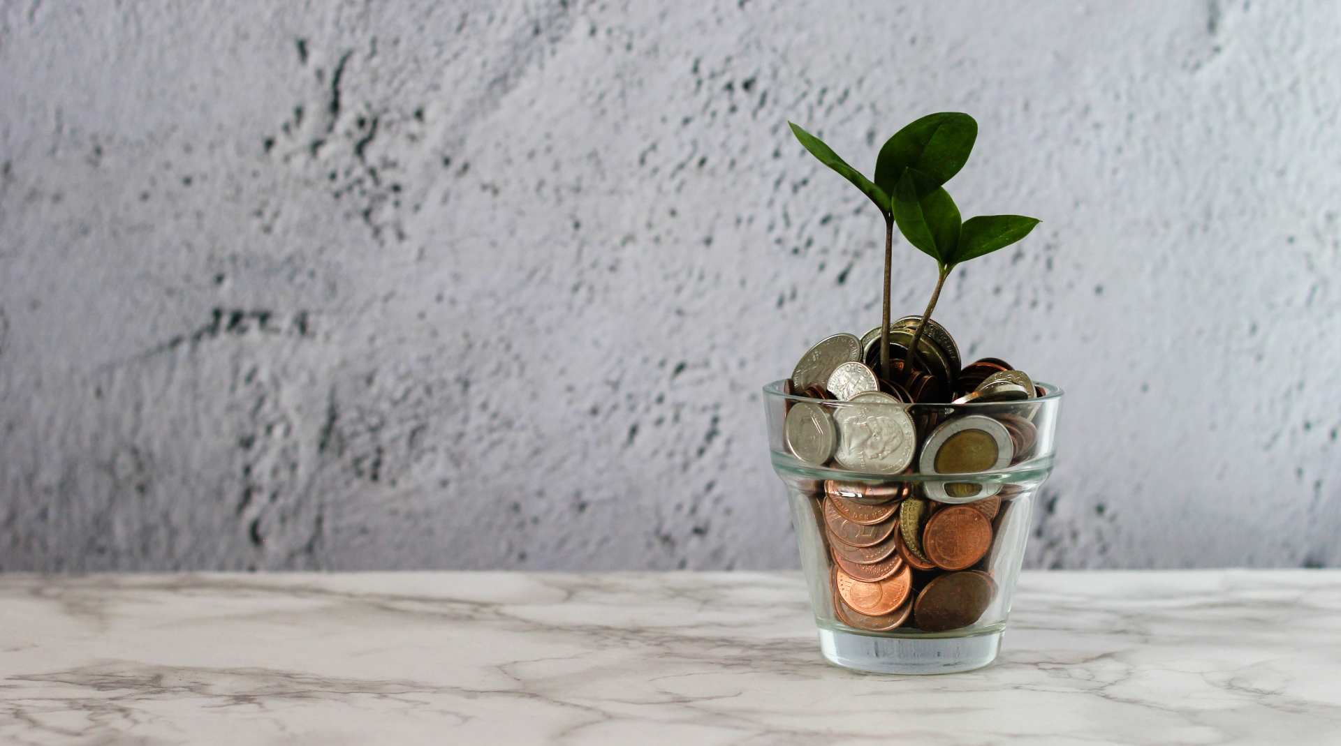 Glas med penge og plante
