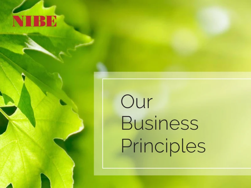 Nibe business principles