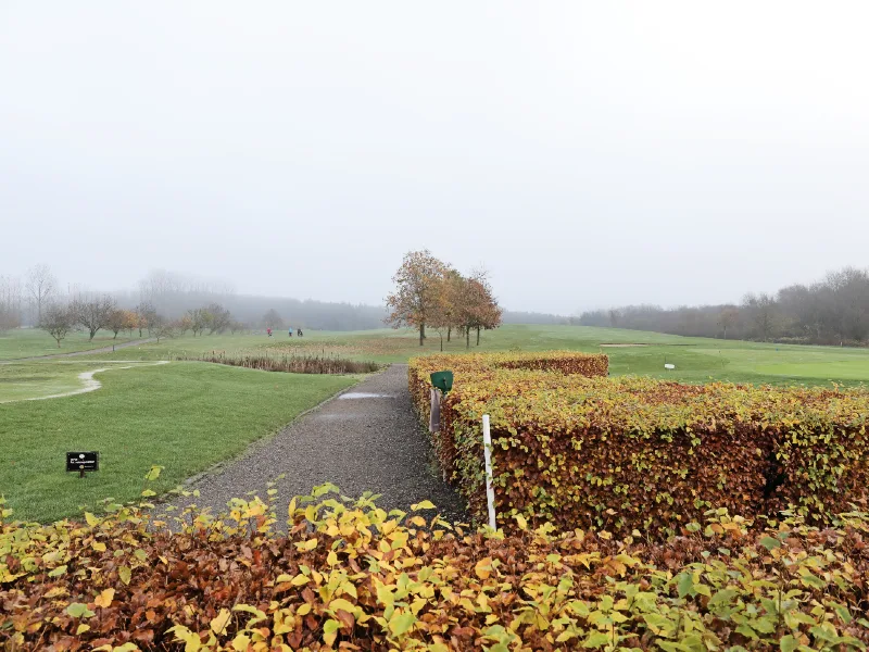 Greenen i Hammel Golfklub