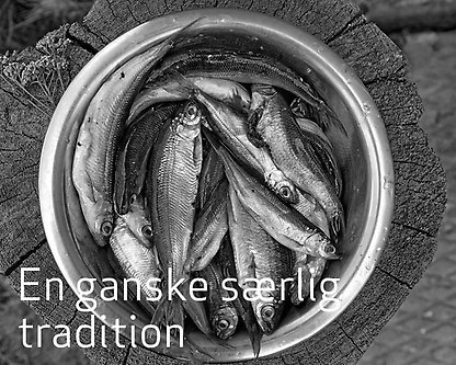 Kogesild - en særlig tradition