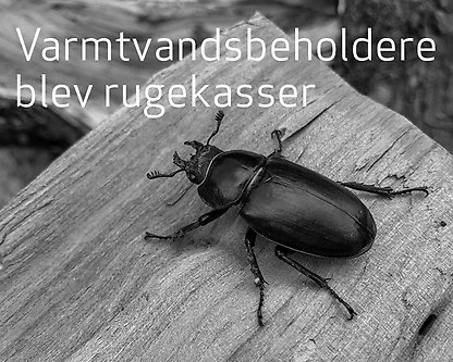Varmtvandsbeholdere blev rugekasser