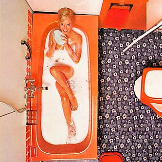 Dame i karbad 1970